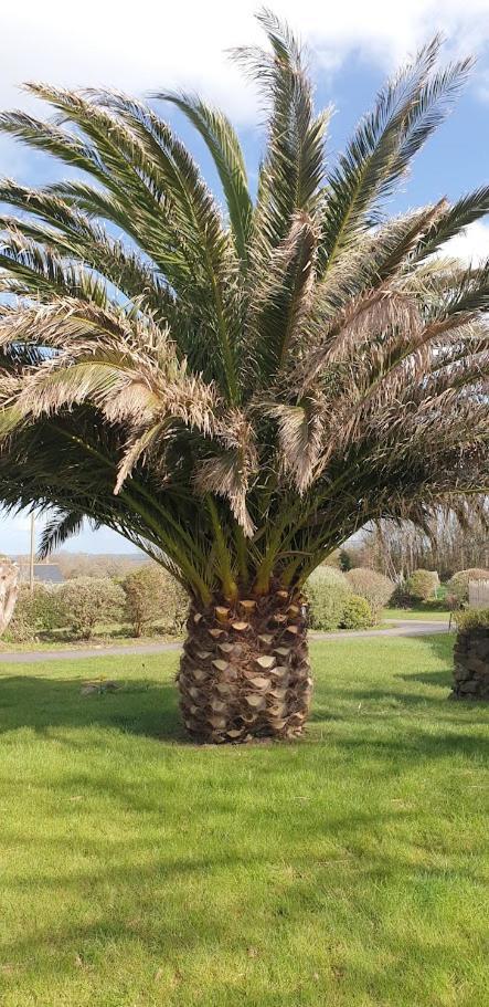 Le Petit Coin De Paradis Roscanvel Bagian luar foto